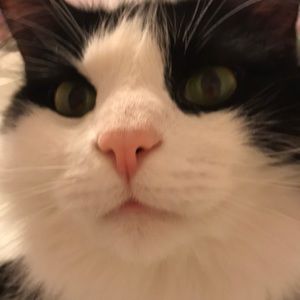 Meet your Posher, Irina